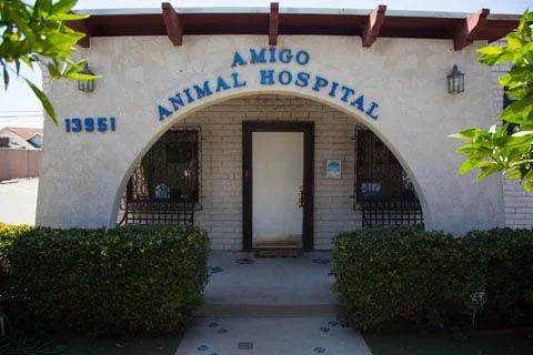  Amigo Animal Hospital on arc design