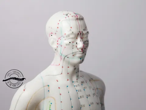 Acupuncture Meridians are energy channels that Dr. Russ McDaniel uses to treat various symptoms