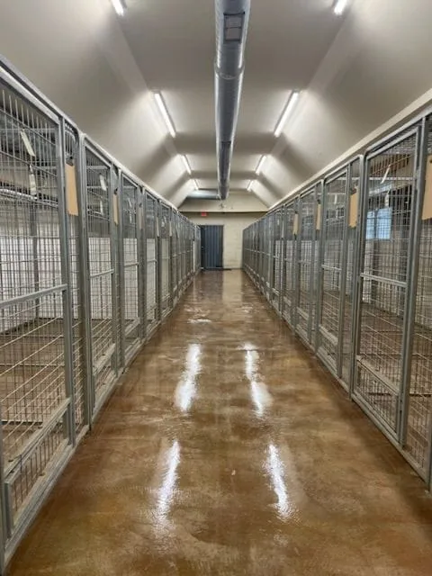 Kennel room