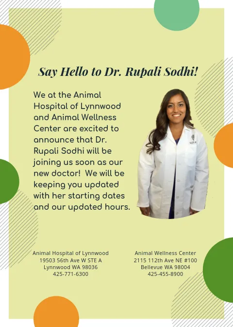 Say Hello to Dr. Rupali Sodhi