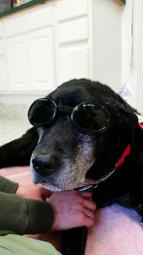 Laser Therapy