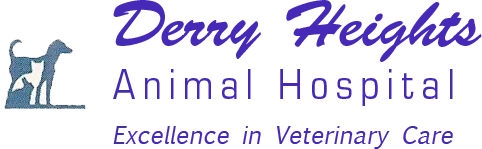 Derry Heights Animal Hospital