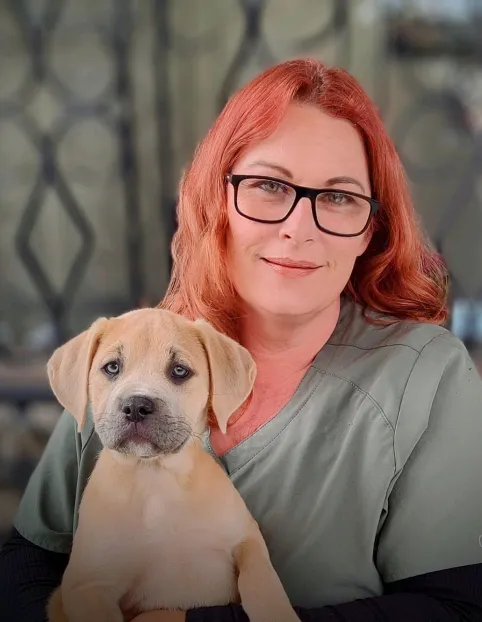 Office Manager : Somer