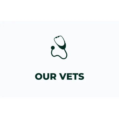 Our vets information icon