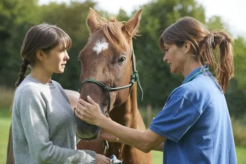 client and horse with doctor