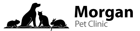 Home Morgan Pet Clinic Veterinarian In Omaha Ne