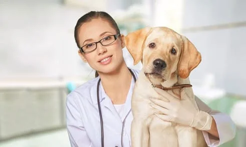 A veterinarian holding a dog with her right arm