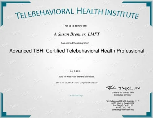Telebehaviorial health institute