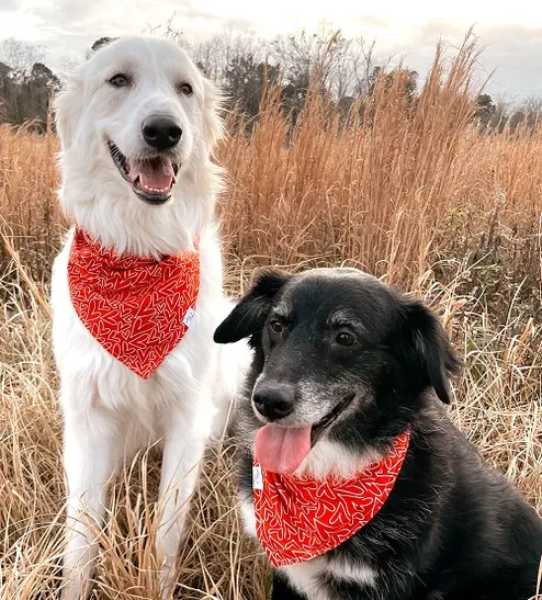 june and izzy