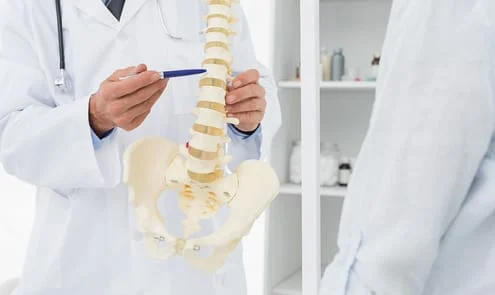 Doctor pointing to a spine