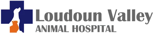 Loudoun Valley Animal Hospital