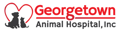 Georgetown Animal Hospital