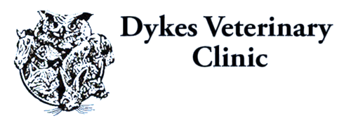 Dykes Veterinary Clinic