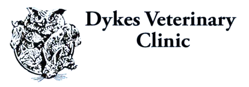 Dykes Veterinary Clinic