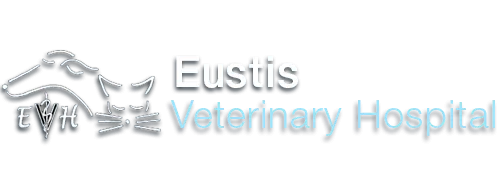 Eustis Veterinary Hospital