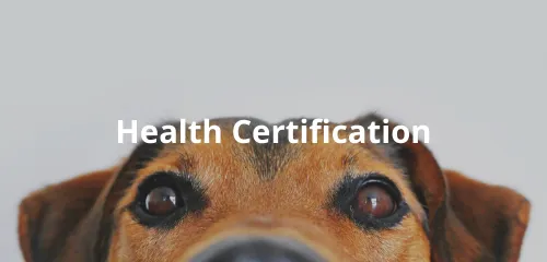health certification