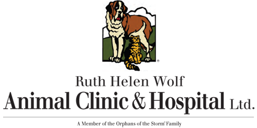 Home | Veterinarian in Libertyville, IL | Ruth Helen Wolf Animal Clinic and  Hospital