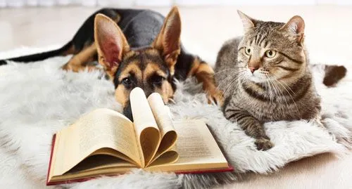 Dog and cat laying next to book