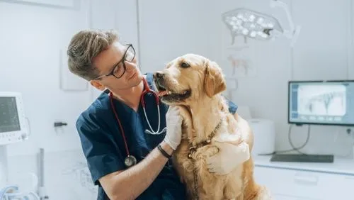 Man-Provides-Pet-Wellness-Exam