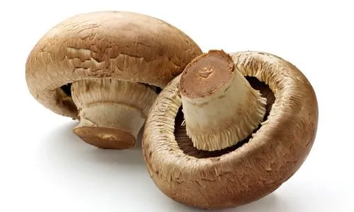 mushrooms.jpg