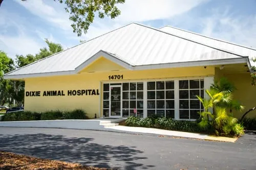 Dixie_Animal_Hospital_1