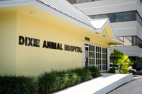 Dixie_Animal_Hospital_2