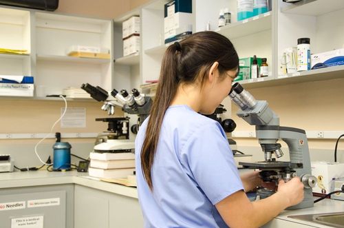 microscopes