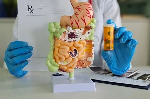 Doctor with meds and model of stomach