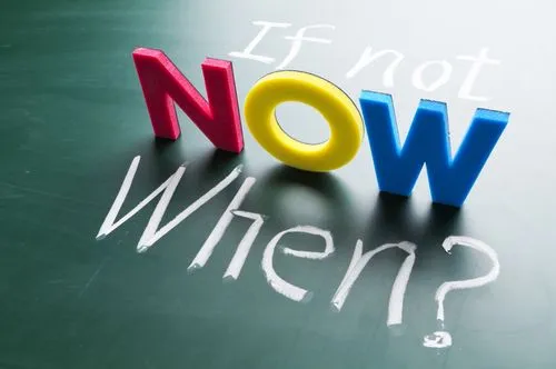 Therapy comes in many flavors.