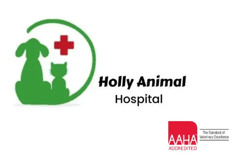 Holly Animal Hospital