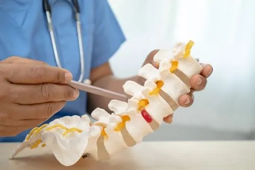 doctor showing spine model to a patient