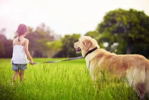 young girl next to her dog on a leash