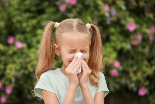 Child with seasonal allergy sneezing outdoor