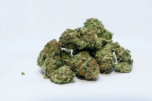 marijuana