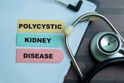 Concept image of Polycystic Kidney Disease