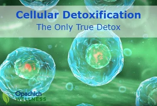 Cellular Detoxification