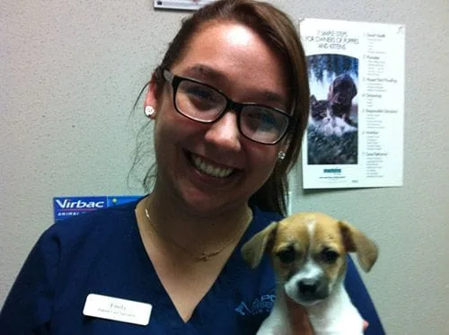 staff with glasses and a puppy