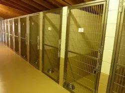 Indoor Kennels