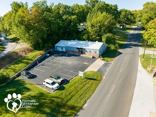 Ariel view of the clinic