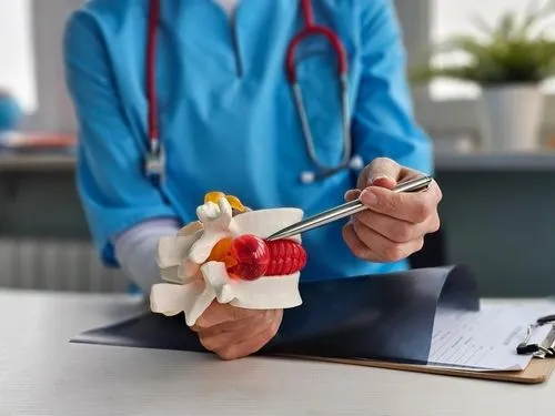 Chiropractor explaining spinal condition using herniated disc model