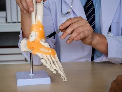 A podiatrist holding a foot model while explaining total ankle replacement to a patient.