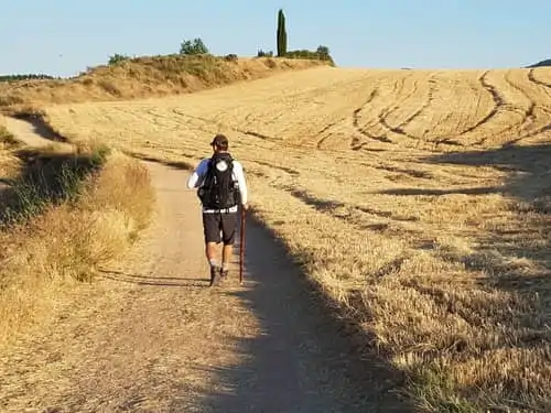 person walking on desert path