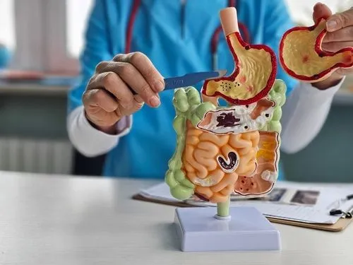 Doctor pointing out some issues in the stomach model