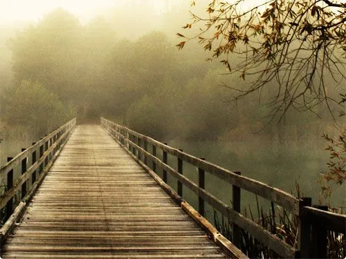 bridge in the mist