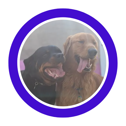 knowledgable_staff, welcoming, family, high recommend