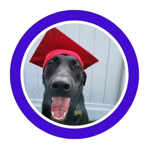 ur family has been sending our pups to PupStars daycare since October 2021,