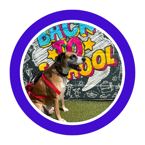 ​We love pupstars!