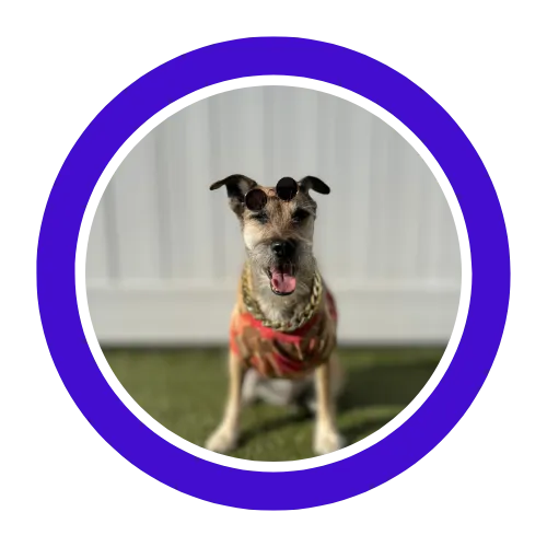 Love love love Pupstars