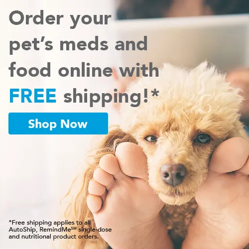 Online Pharmacy and Pet Food Store