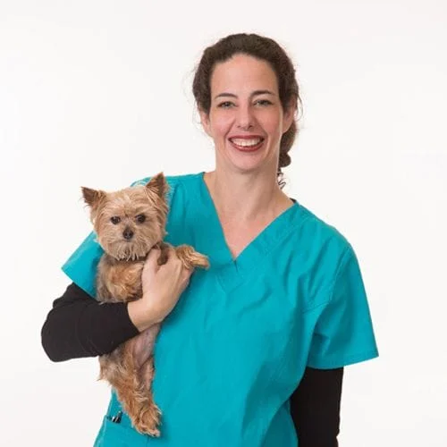 Kimberly Koster, Kennel Nurses